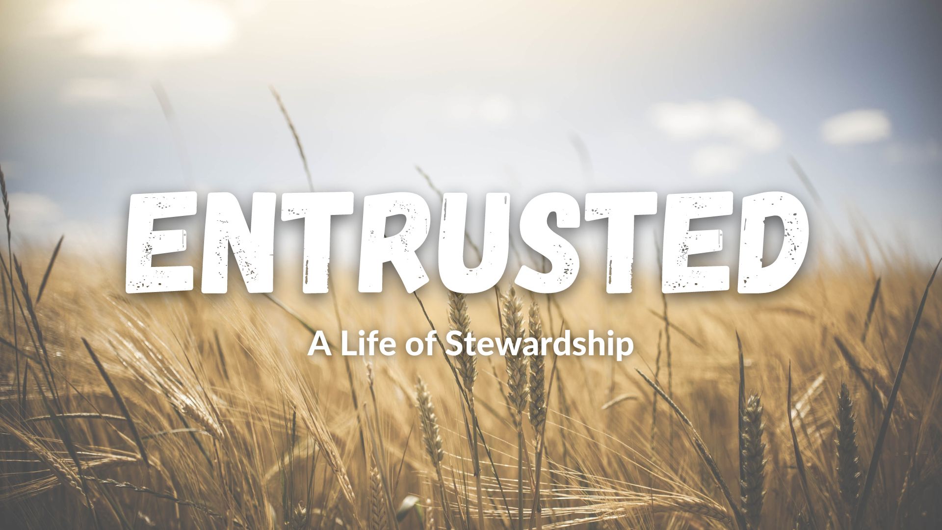 Entrusted with Treasure